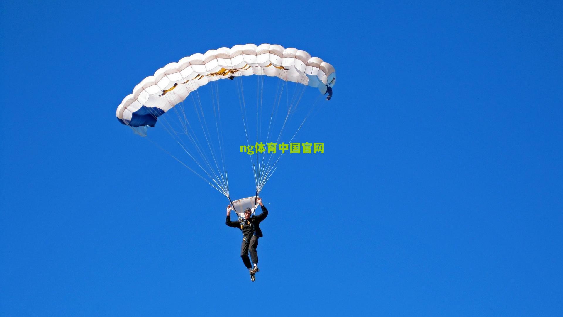 ng体育入口|罗家双胞胎闪耀俱乐部联赛，兄弟同心剑指职业巅峰