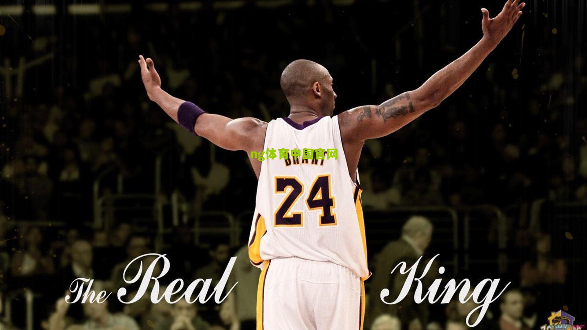 ng体育app:帕拉蒂奇戏剧性回归热刺执掌竞技部门,列维再押老搭档重塑球队未来