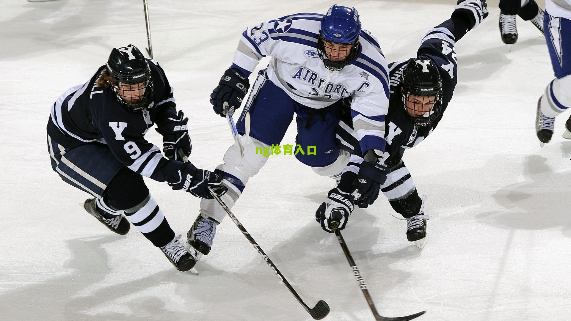 ng体育官网|乔治娜开启视频频道，在聚光灯外，分享生活与工作的真实平衡